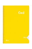 Keskin Color Cool Defter Kareli Spiralli Pp Kapak A4 40 Yaprak