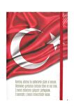 Keskin Color Defter Ciltli Lastikli Bayrak 17x24 96 YP Düz 415610-99