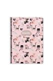 A4 Kareli Defter Animal Friends - Kediler