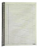 Hisli Şeyler 18,5x25 Spiralli Çizgili Defter - Düzelicez İnşallah Be