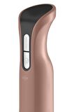 Ar1016-ag Prostick 1000 Watt Ergonomik Çubuk Blender Seti - Akşam Güneşi