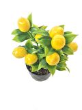 Yapay Çiçek Limon Ağacı Siyah Saksıda Ve Dekoratif 