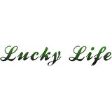 ​Lucky Life 925 Ayar Gumuss Gözyaşı Damla Çivili Kadın Küpe