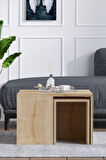 Decormet Ortanca Sehpa Safir Meşe