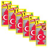 Little Trees Asma Koku 6'lı Ay Yıldız