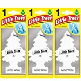 Little Trees Oto Kokusu 3'lü Buz Beyazı