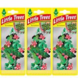 Little Trees Oto Kokusu 3'lü Orman Ateşi