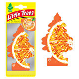 Car Freshner Asma Koku 12'li Portakal