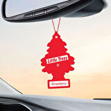 Car Freshner Asma Koku 3'lü Vahşi, Çilek, Şehir Karışık Set