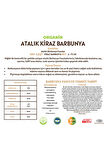 Organik Atalık Kiraz Barbunya - 1 Kilo