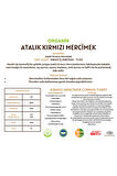 Organik Atalık Kırmızı Mercimek - 1 Kilo