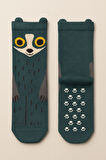 Erkek Çocuk Rakun Desenli Soket Çorap Yeşil