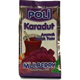 Poli Toz İçecek Karadut 500 Gr