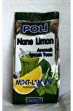 Poli Toz İçecek Nane Limon 450 Gr