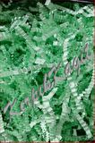 Zigzag Z Kırpık / Kırpıntı Kağıt , Mint YEŞİL 100 GR