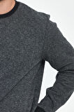 Rodi Erkek Bisiklet Yaka Sweatshirt RD24KE031562