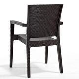 Novussi Paris Rattan Kollu Sandalye Koltuk KAHVE