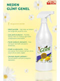 GLİNT 1 Litre %100 Bitkisel Küf Fırın Izgara Temizleyici Yağ Sökücü Çok Amaçlı Yüzey Temizleyici