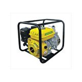 Rtrmax Rtr030 Rother Benzinli Su Motoru 6.5 Hp 