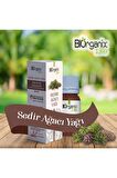 Sedir Ağacı Yağı 20 ml Cedar Tree Oil