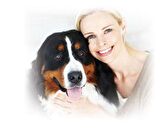 15 Kg BonaCibo Adult Dog Form Form Tavuklu Pirinçli Hamsili Yetişkin Köpek Maması