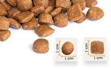BONACİBO TAVUK VE PİRİNÇLİ KEDİ MAMASI 2 KG