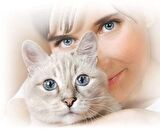 BONACİBO TAVUK VE PİRİNÇLİ KEDİ MAMASI 2 KG
