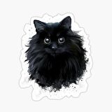 Cins Kedi İran Kedisi Araba Oto Sticker Etiket Renkli V8
