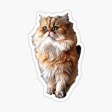Cins Kedi İran Kedisi Araba Oto Sticker Etiket Renkli Z2