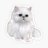 Cins Kedi İran Kedisi Araba Oto Sticker Etiket Renkli Z3