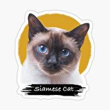 Siamese Kedi Araba Oto Sticker Etiket Renkli V9