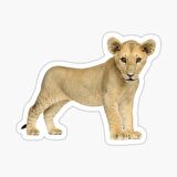 UFak Bebek Aslan Araba Oto Sticker Etiket Renkli V1