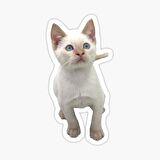 UFak Bebek Kedi Araba Oto Sticker Etiket Renkli C1