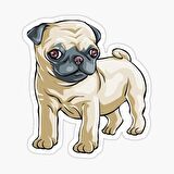 Pug Irkı Cinsi Köpek Sticker Araba Oto Yapıştırması 17CM Z2
