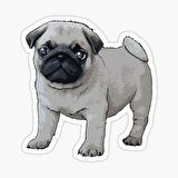 Pug Yavru Cinsi Köpek Sticker Araba Oto Yapıştırması 17CM
