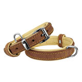 Markapet Lüks Deri Köpek Boyun Tasması 2x25-32 cm Sarı Kahverengi