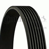 Honda Kanallı Kayıs Honda Stream 2.0 16v (01 05) - Contı 7pk1388