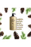 Daıly Perfection 1 Adet Çam Terebentin(800 Ml) 1 Adet Çörek Otu Yağı(800 Ml) Şampuan 2'li Set