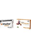 Imutor Kapsul + Phytorelıef Pastıl