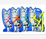 Maxi Life Kedi Göğüs Tasması Renkli