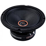 EDGE EDXPRO8W-E9 30CM SUBWOOFER XTREEM SERİES