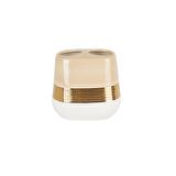 Primanova D-20452 Lucas Gold Diş Fırçalık