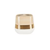 Primanova D-20452 Lucas Gold Diş Fırçalık