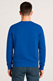Kadın - Erkek Sweatshirt – Bisiklet Yaka Basic Uzun Kollu Rahat Fit