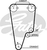 Honda Triger Kayısı (125x260) Honda S Max Cr V 2.0 (97 02) Ct1006 - Gates 5505xs