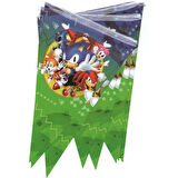 Sonic Temalı Üçgen Flama Bayrak Süs