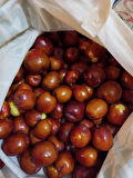 Organik Taze Hünnap Iri Boy 2 kg