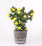 Limon Ağacı Seramik Saksıda Yapay Çiçek  
