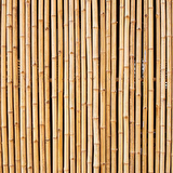 Bambu Sopası 120 cm 18-20mm Bambu Çubuğu 5 ADET 