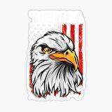 Araba için Kartal Oto Sticker Yapıştırması Etiket  17CM d3